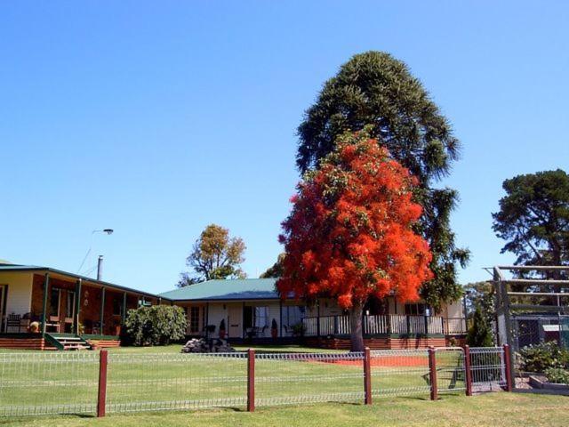 Newmerella Snowy River Homestead المظهر الخارجي الصورة