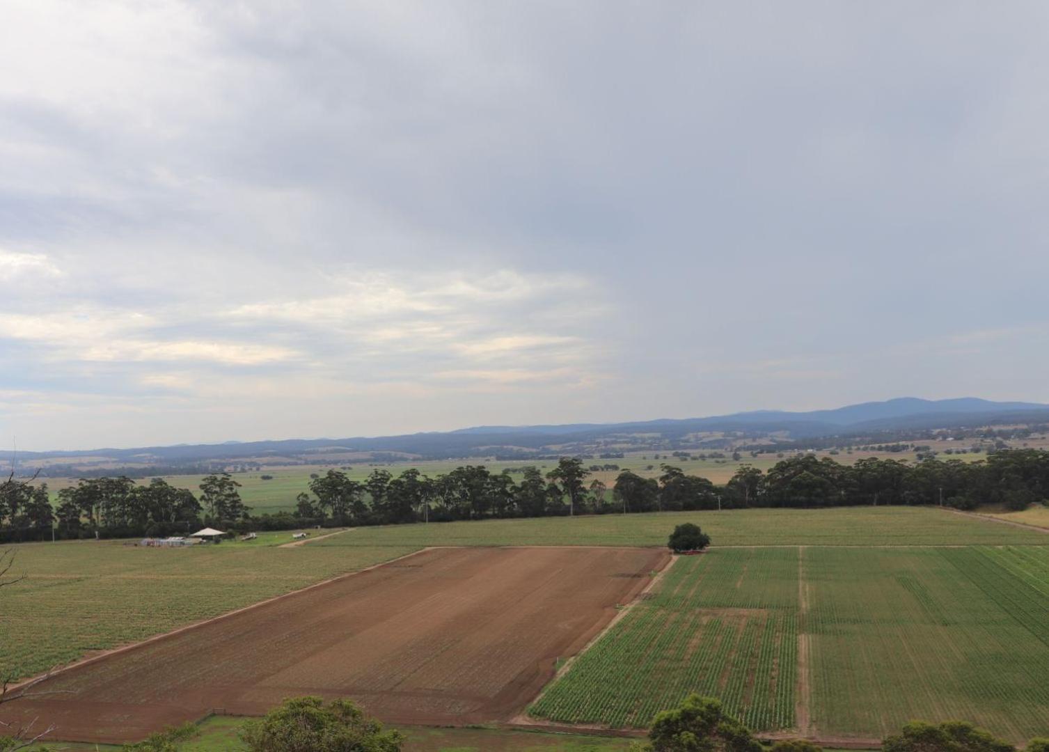 Newmerella Snowy River Homestead المظهر الخارجي الصورة